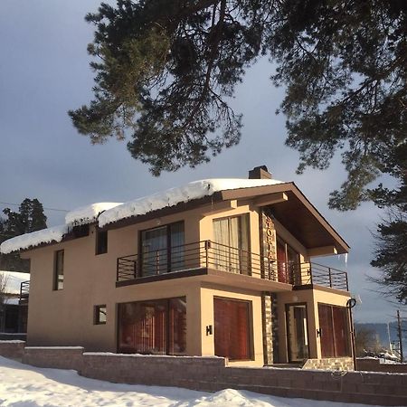 Villa Astoria Bakuriani Εξωτερικό φωτογραφία